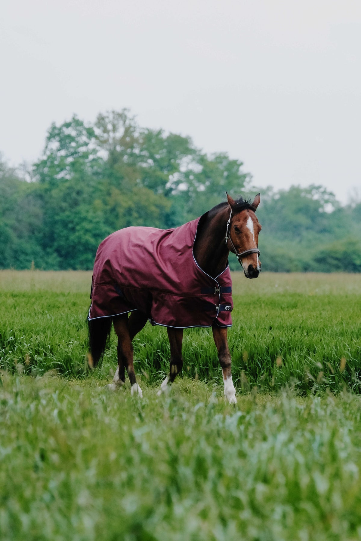 Manta de exterior Equi-Theme Tyrex 1200D con cuello alto Burdeos