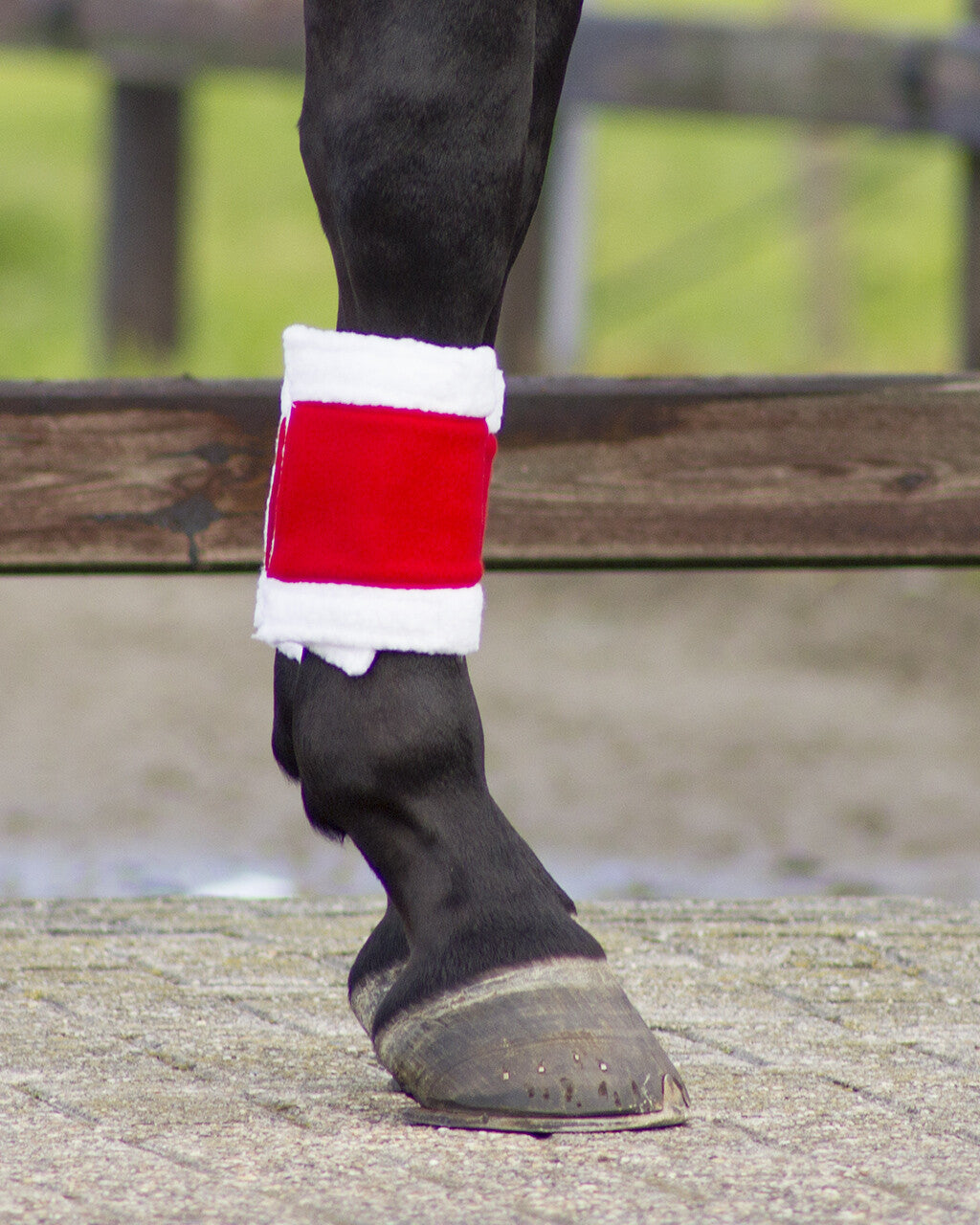 Protectores Bandages Christmas QHP