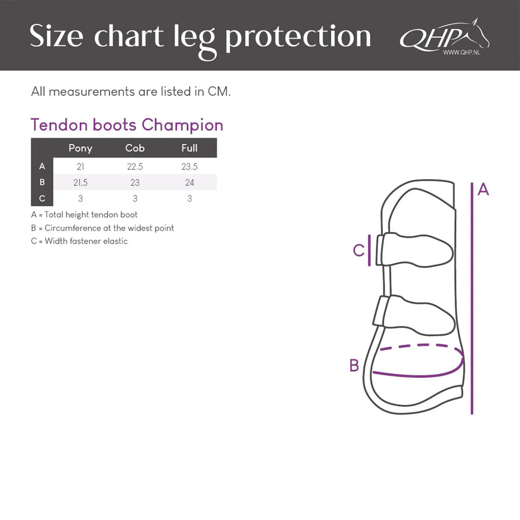 Protectores de tendón QHP Champion