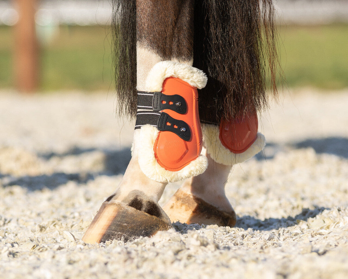Protectores de menudillo QHP Menton