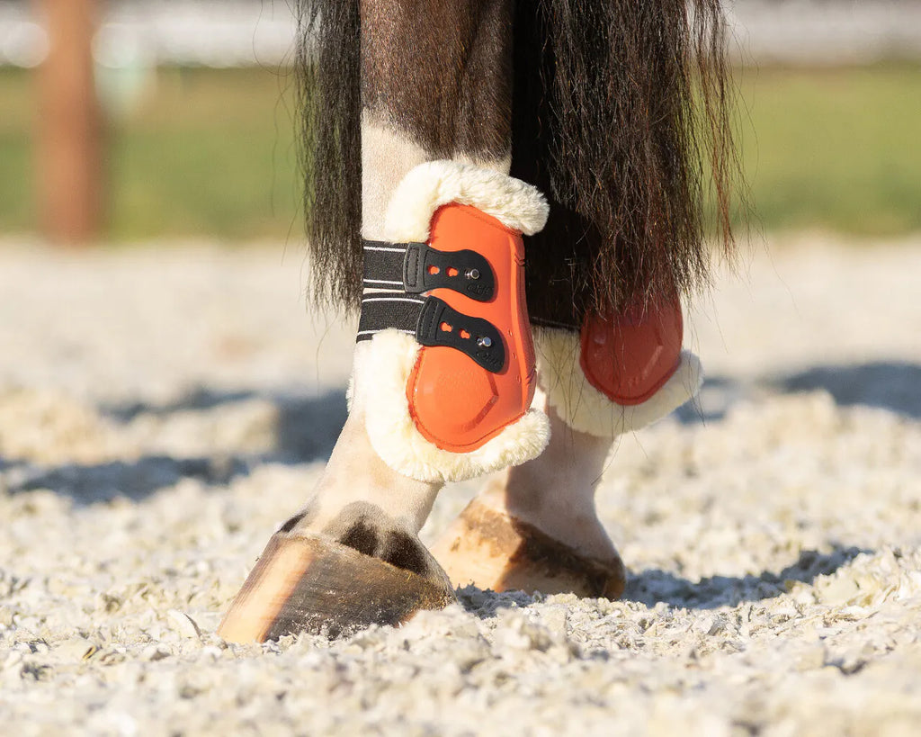 Protectores de menudillo QHP Menton