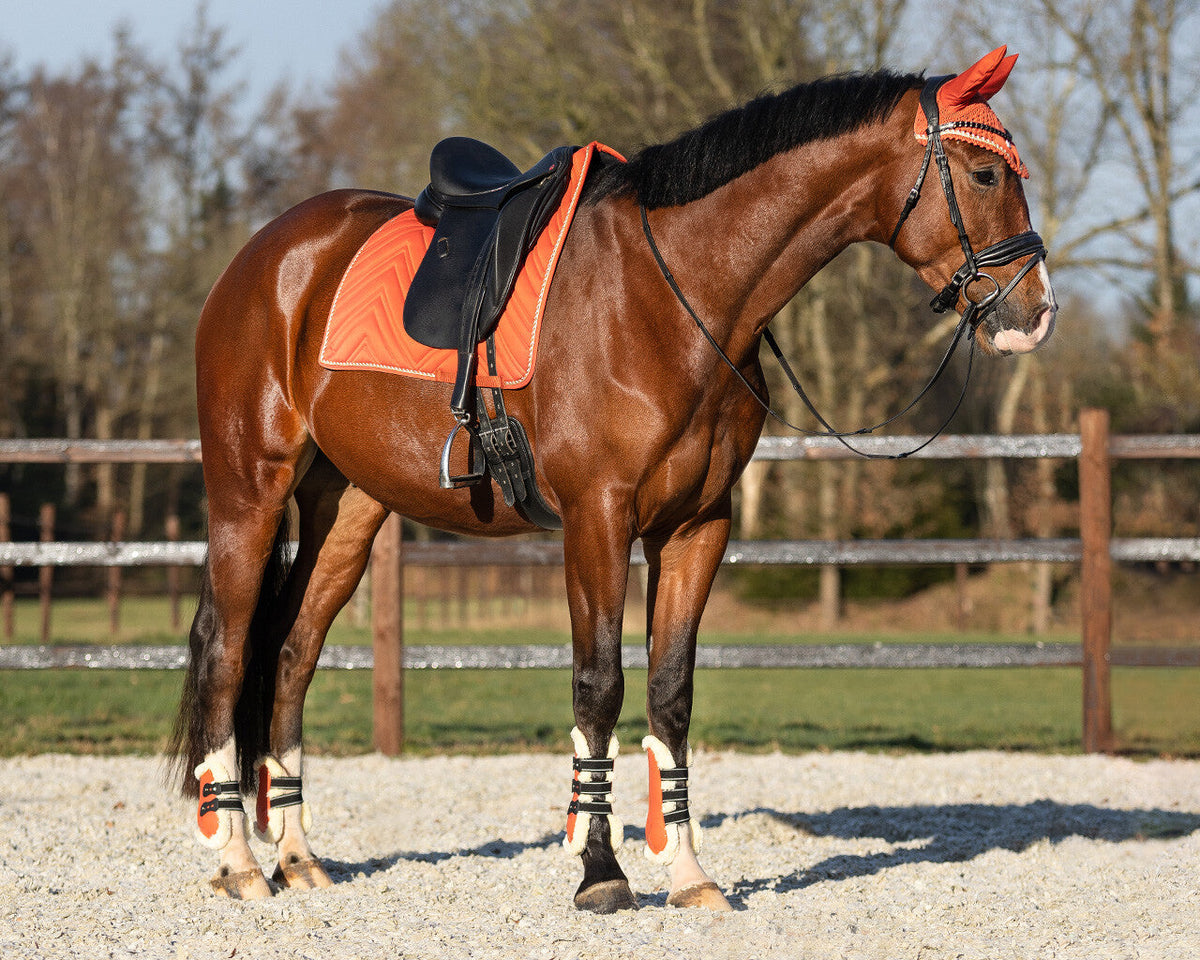 Protectores de menudillo QHP Menton