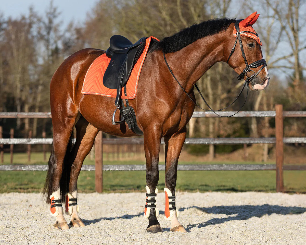 Protectores de menudillo QHP Menton