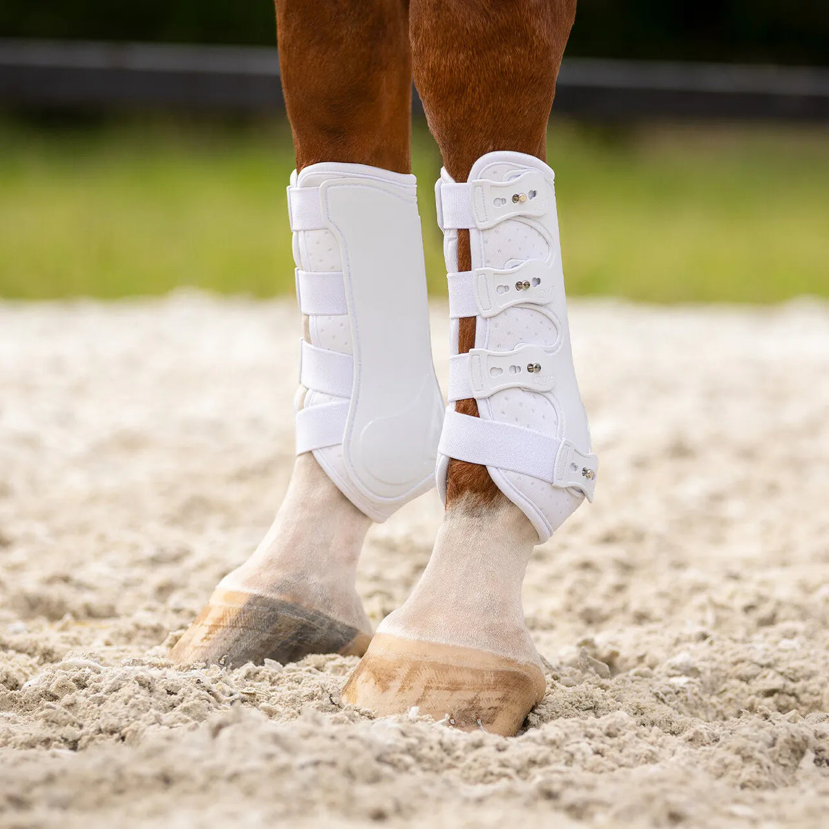 Protectores Leg protection delantero Champion QHP