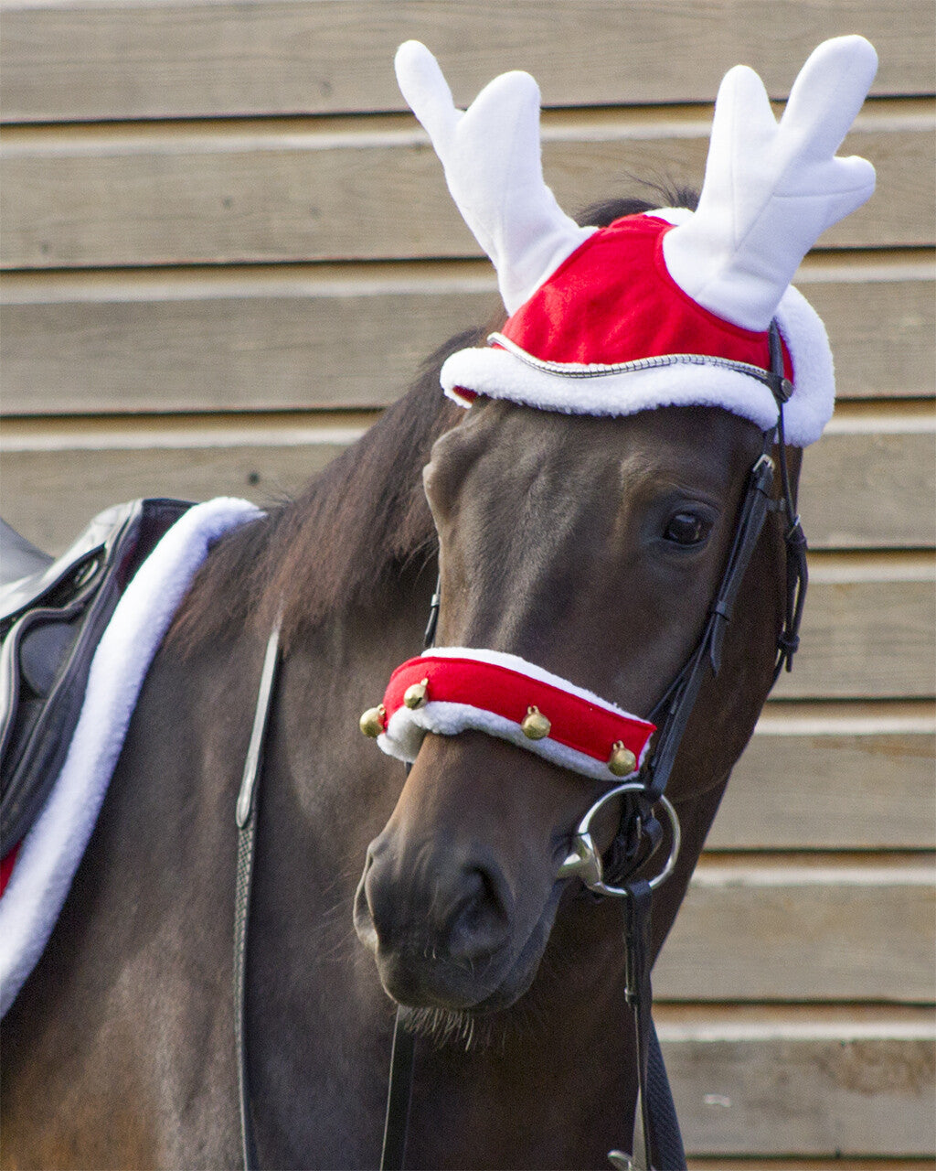 Orejeras Reindeer hat Christmas QHP