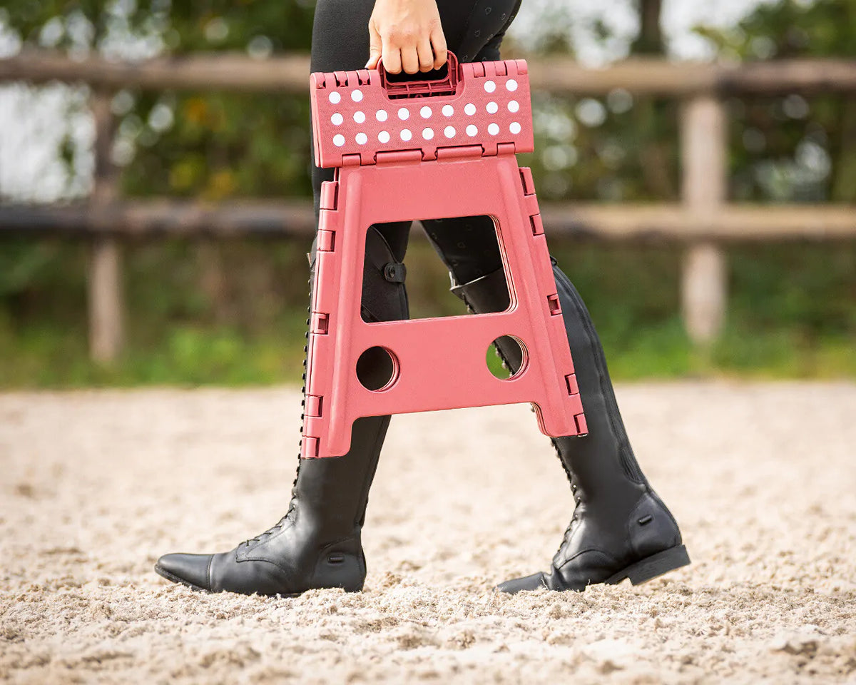 Step-up stool QHP