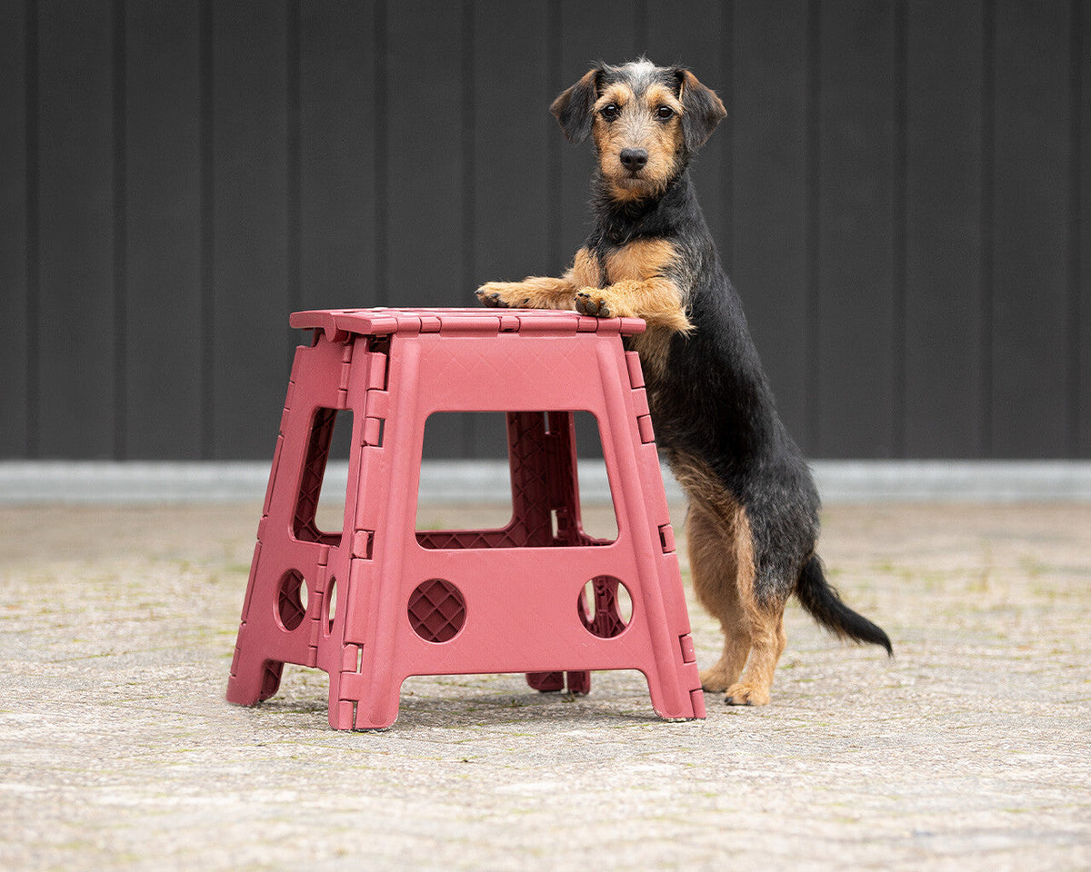 Step-up stool QHP