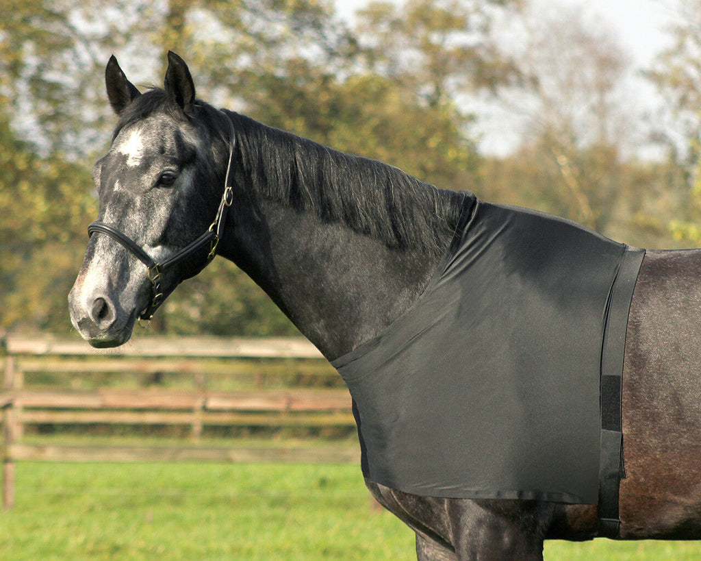 pecho protector elastic QHP