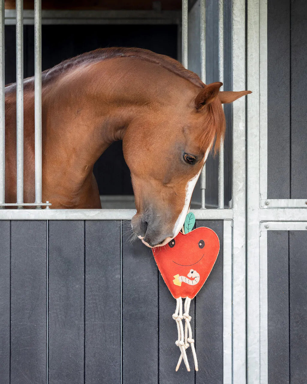 Accesorio ecuestre Caballo toy QHP
