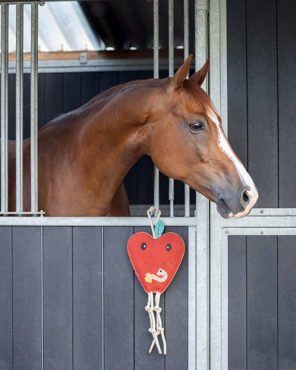 Accesorio ecuestre Caballo toy QHP