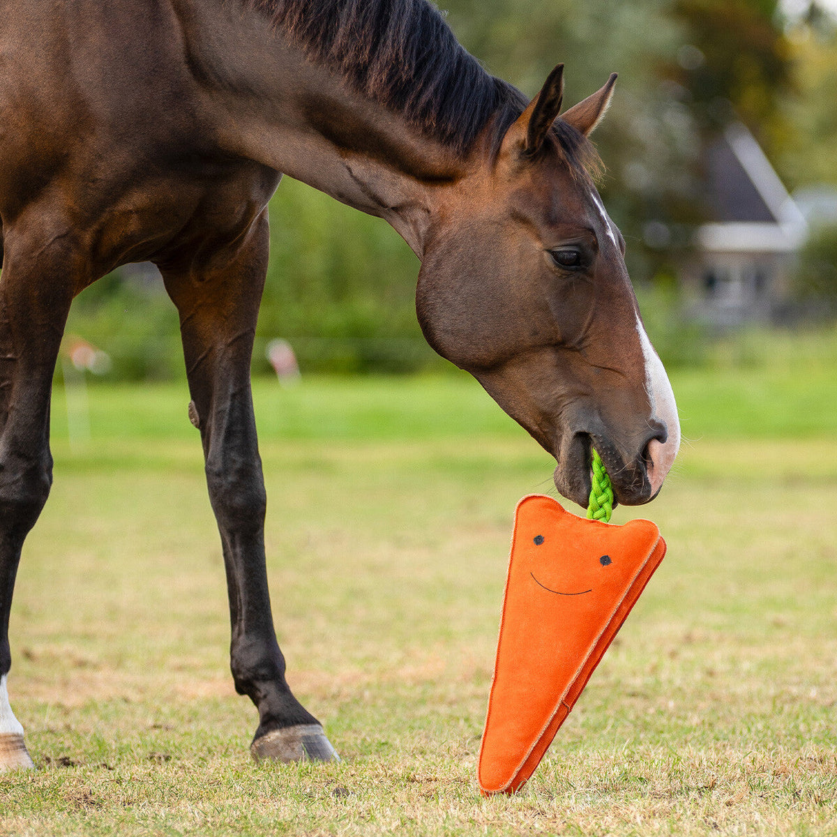Accesorio ecuestre Caballo toy XL QHP