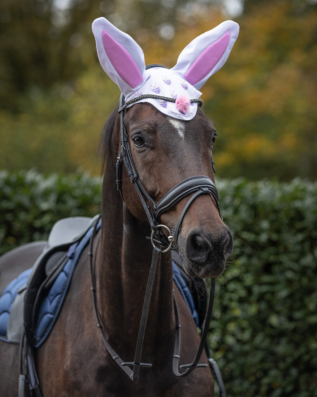 Orejera Ear net Easter bunny QHP