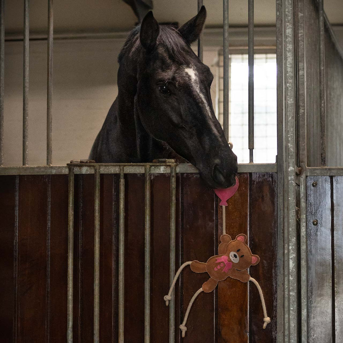 Accesorio ecuestre Caballo toy Valentine QHP