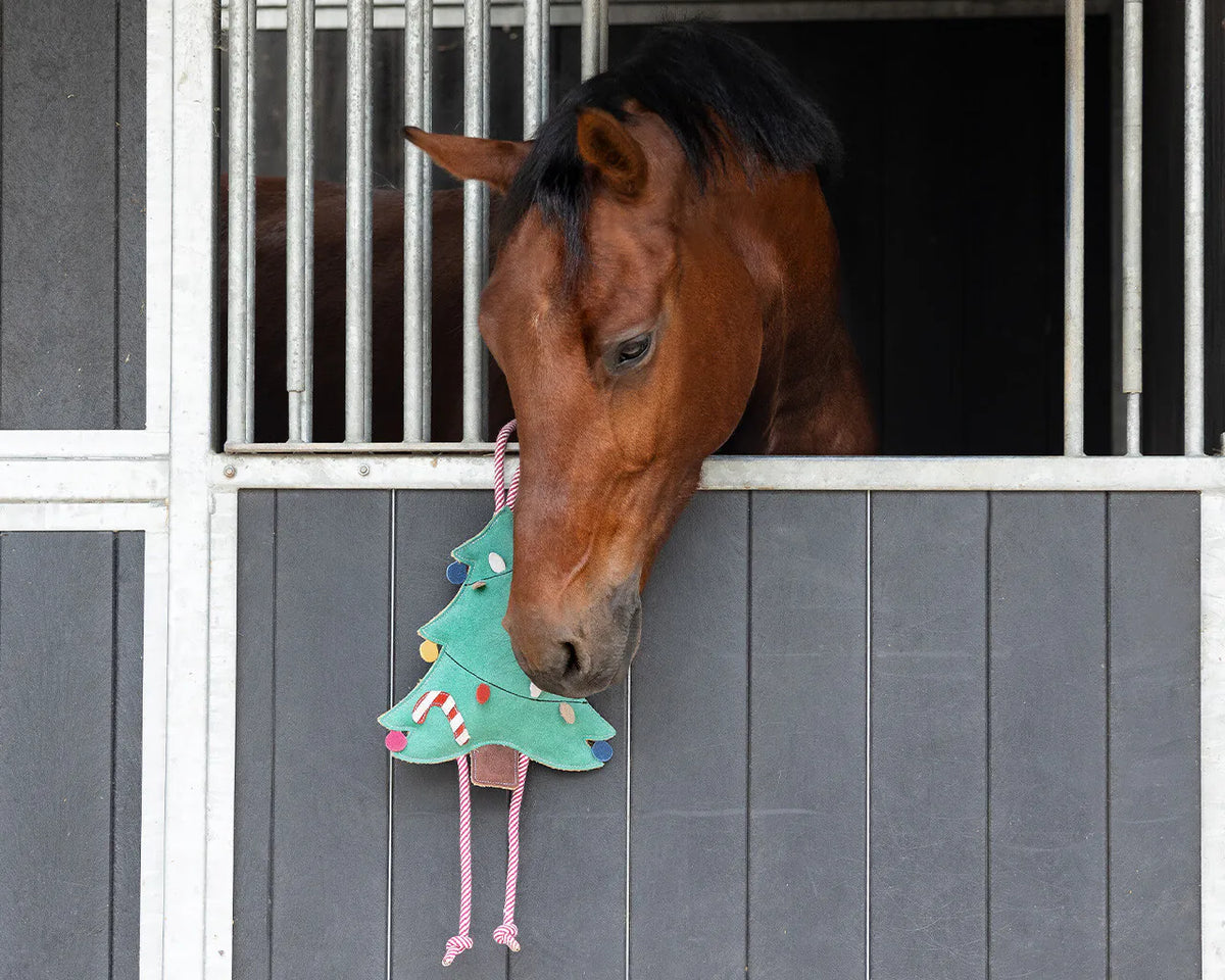 Accesorio ecuestre Caballo Toy Christmas QHP