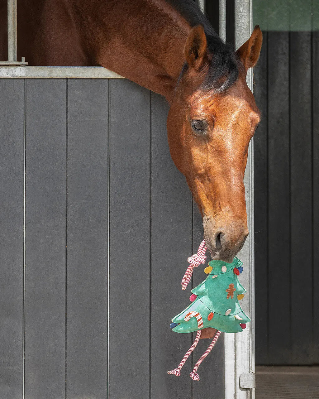 Accesorio ecuestre Caballo Toy Christmas QHP