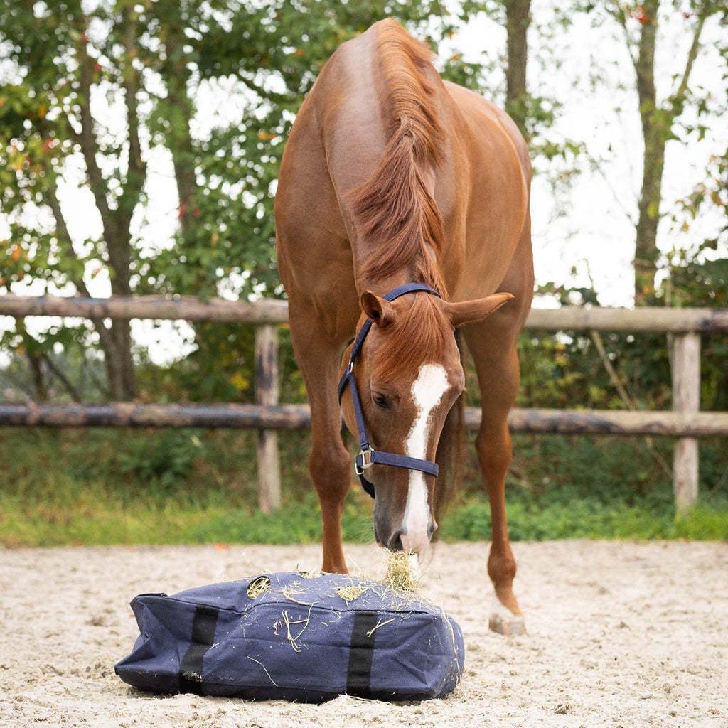 Hay cushion QHP