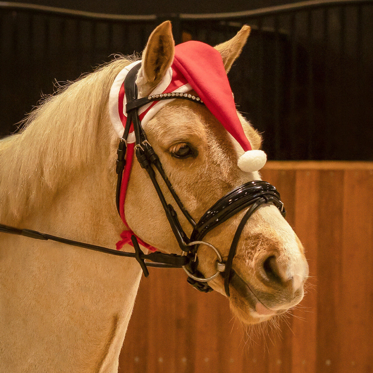 Accesorio ecuestre Gorras y sombreros gorro navideño caballo QHP