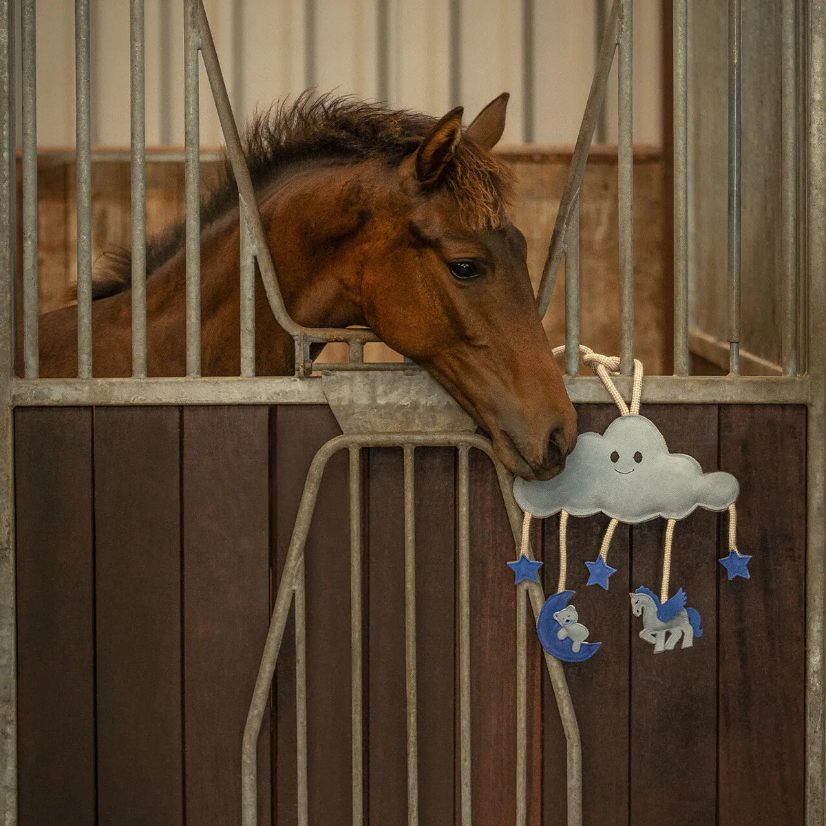 Accesorio ecuestre Caballo toy Novy QHP