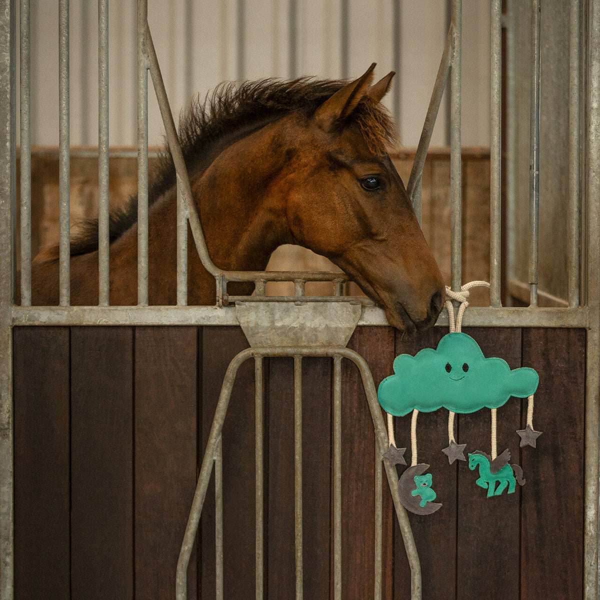 Accesorio ecuestre Caballo toy Novy QHP