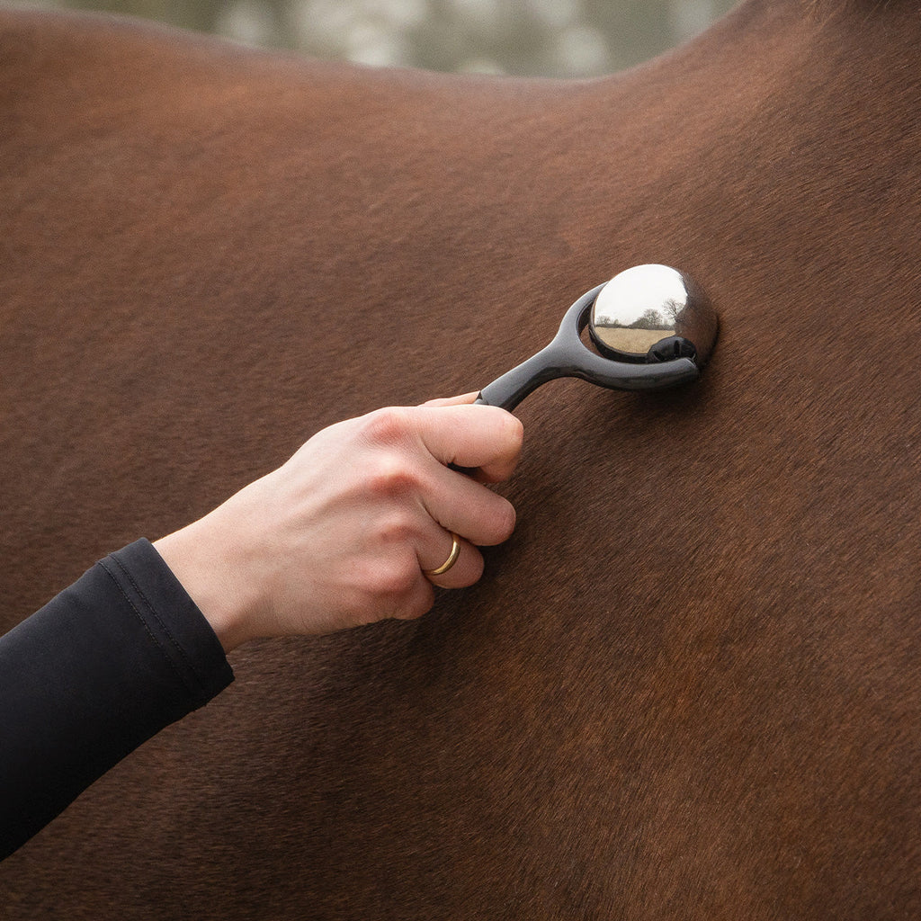 Accesorio ecuestre Caballo Massage Roller QHP