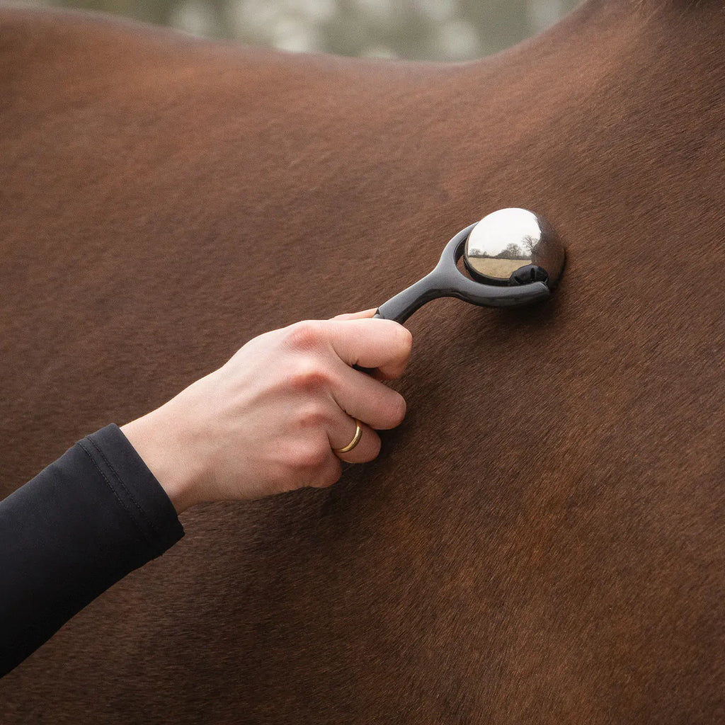Accesorio ecuestre Caballo Massage Roller QHP