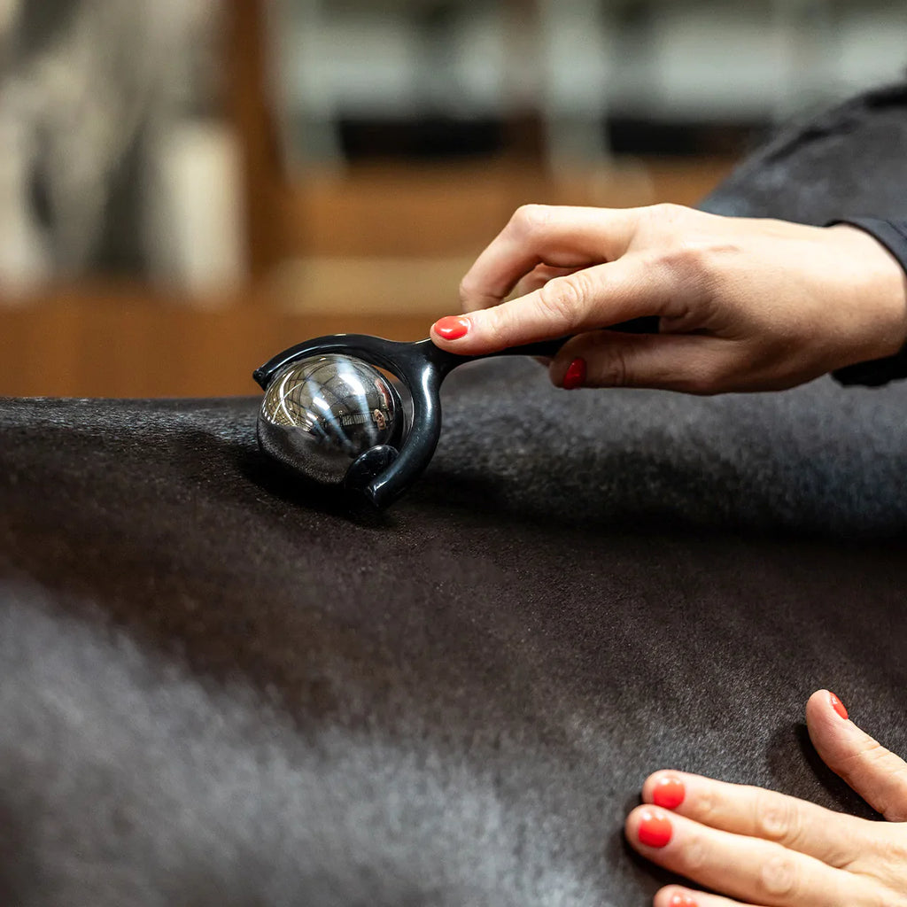 Accesorio ecuestre Caballo Massage Roller QHP
