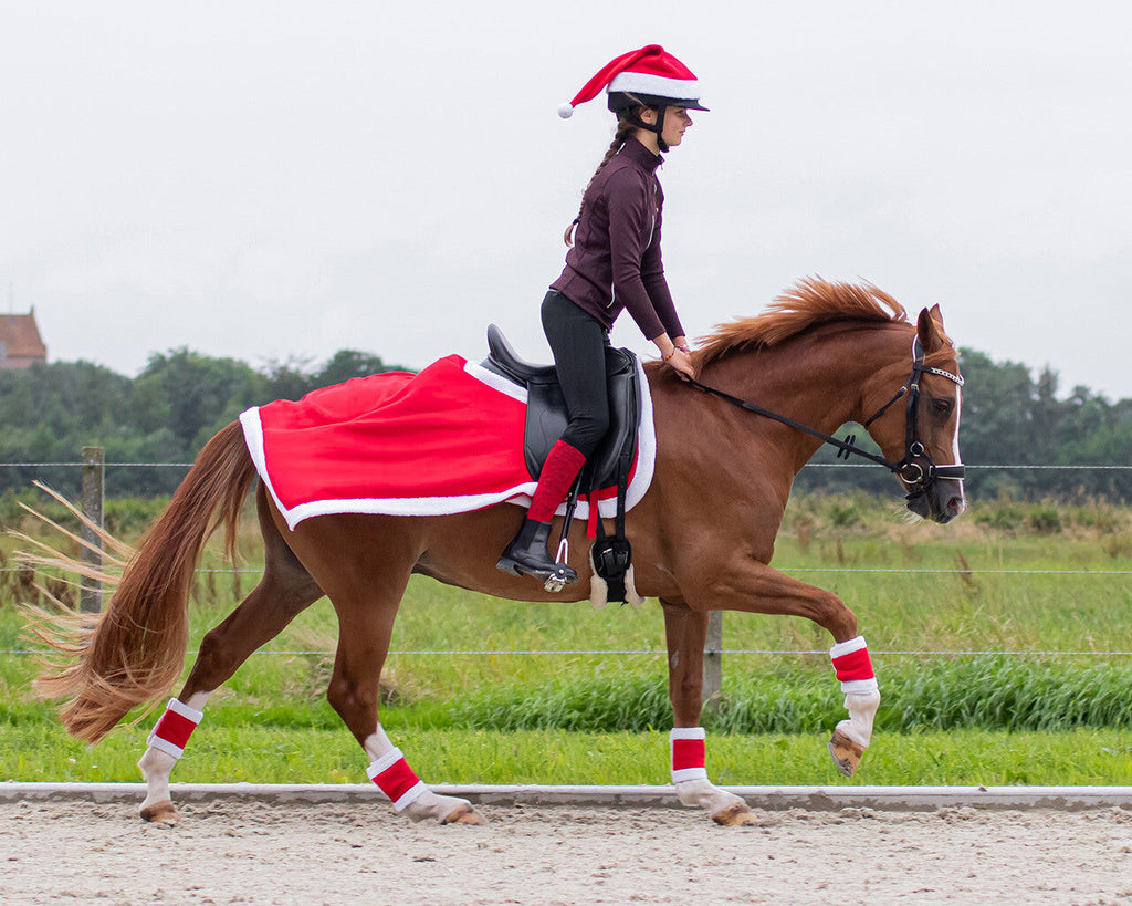 Manta de trabajo navideña QHP