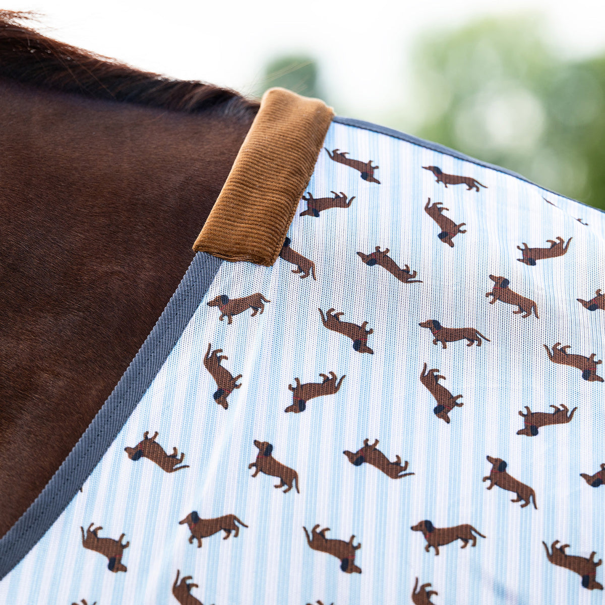 Manta antimoscas Stable buddy QHP