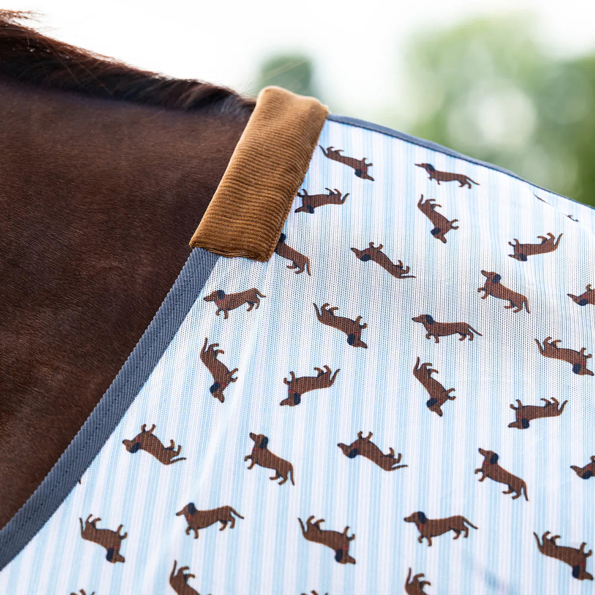 Manta antimoscas Stable buddy QHP