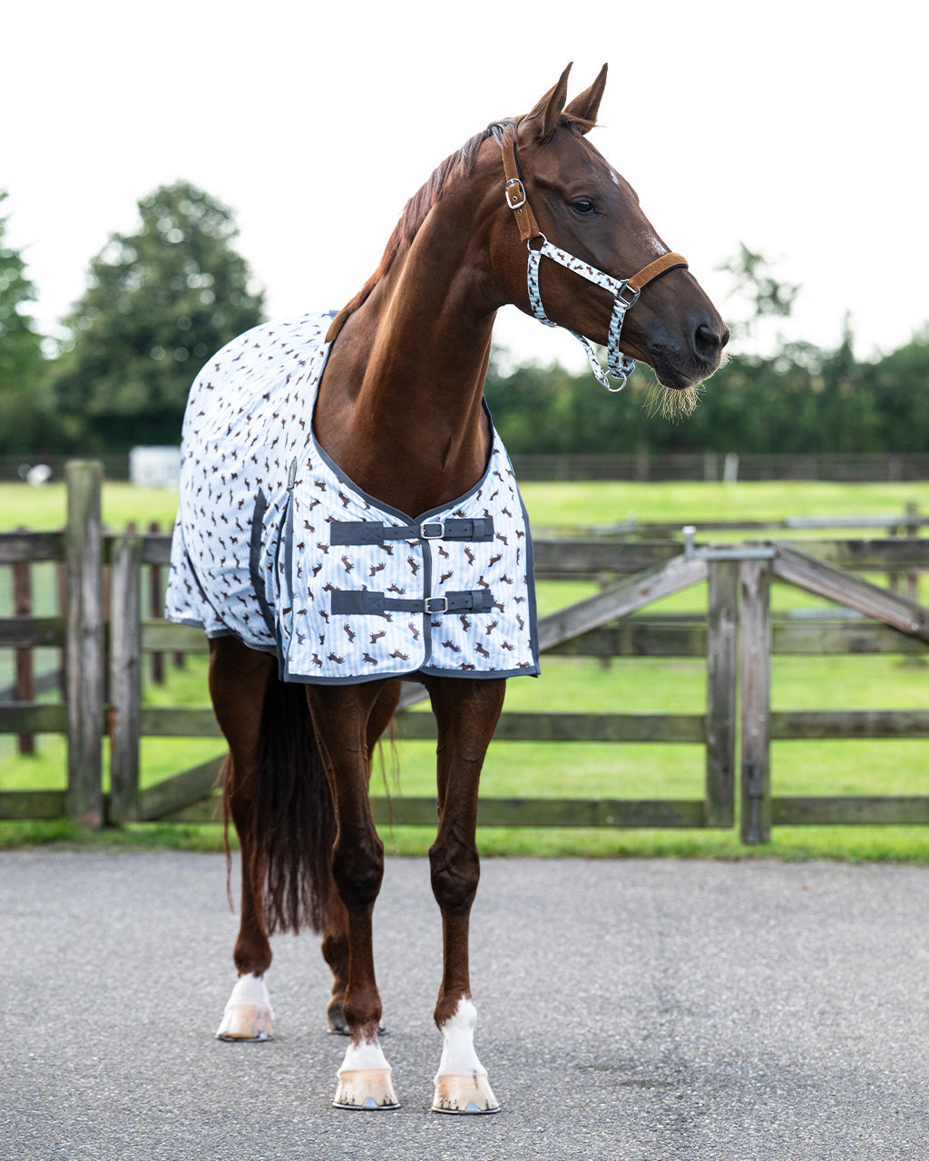 Manta antimoscas Stable buddy QHP
