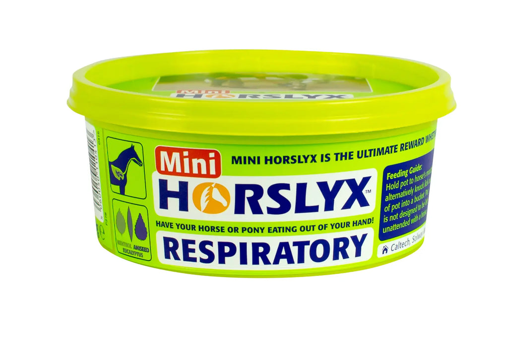 Accesorio ecuestre Horslyx 650g