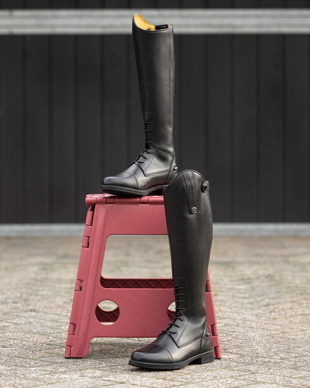 Botas de equitación infantiles QHP Julia Junior