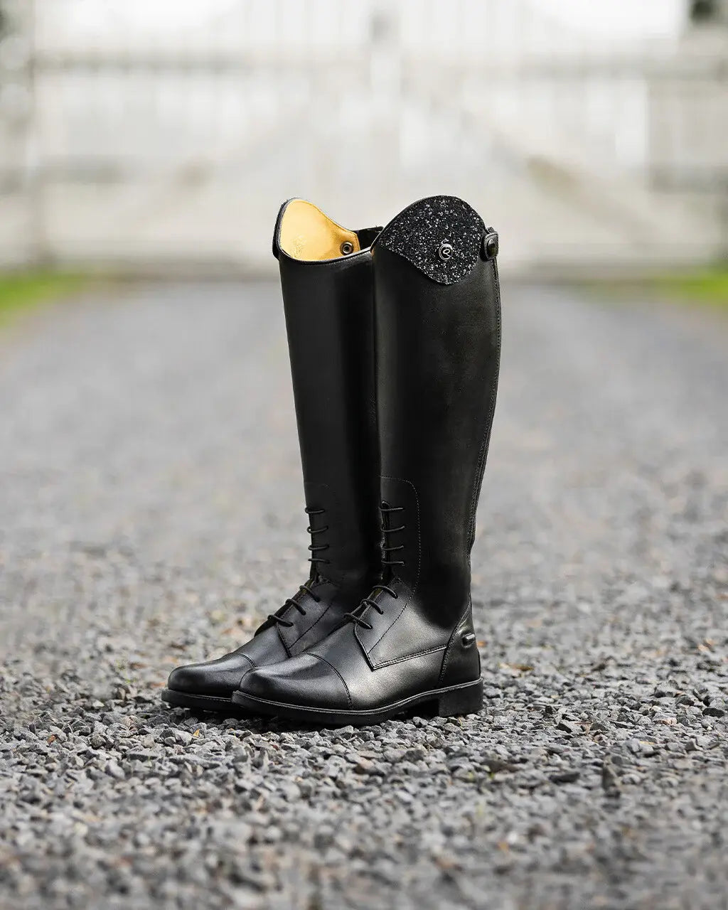 Botas de equitación infantiles QHP Romy Junior