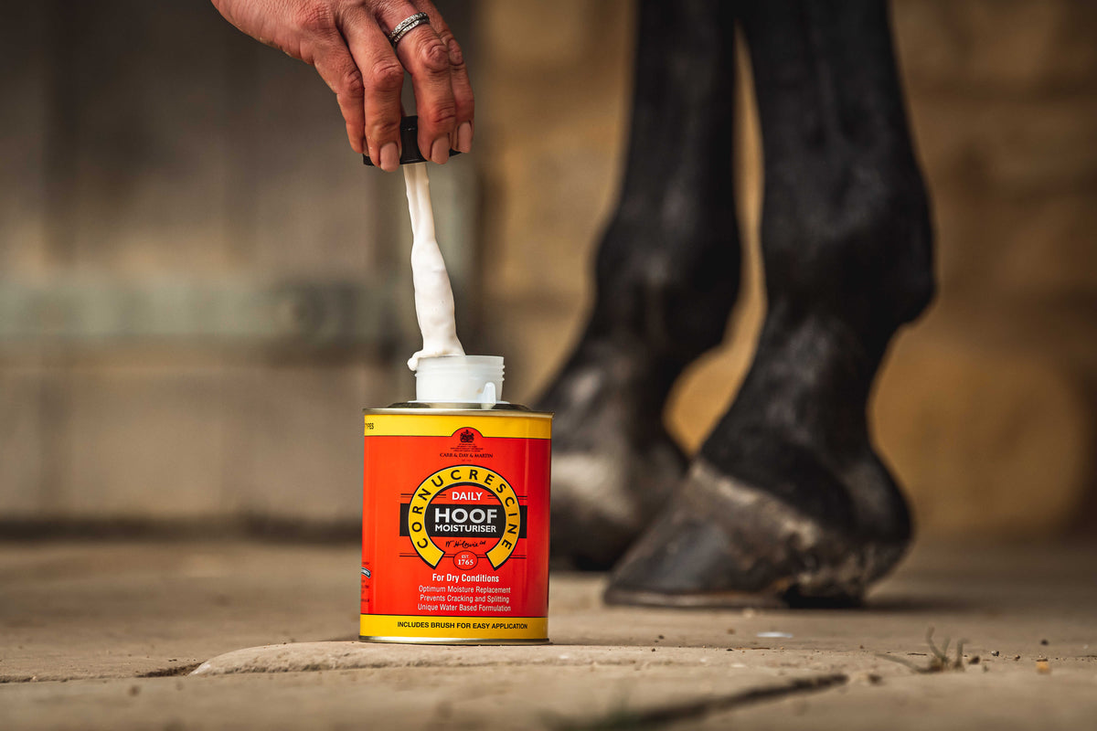 Aceite Hidratante para Cascos – Cornucrescine Daily Hoof Moisturiser (500 ml) – Paso 2/3