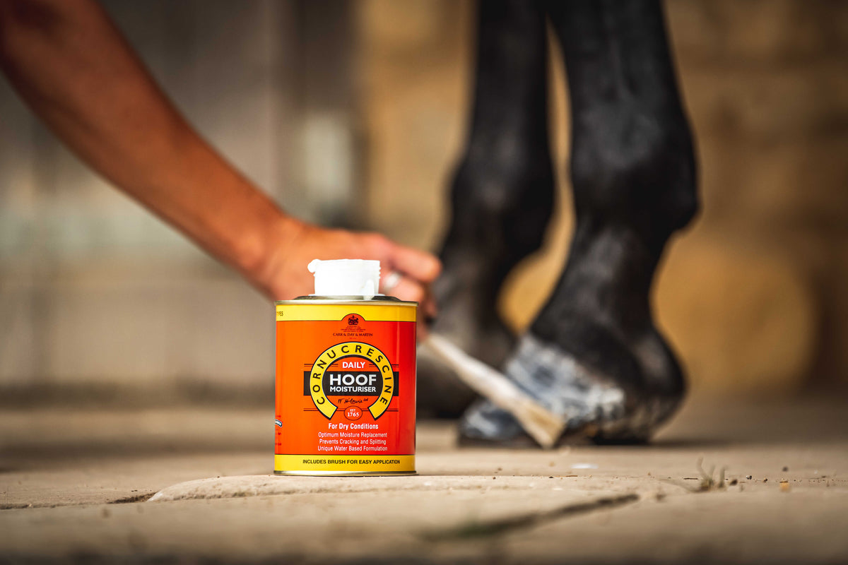 Aceite Hidratante para Cascos – Cornucrescine Daily Hoof Moisturiser (500 ml) – Paso 2/3