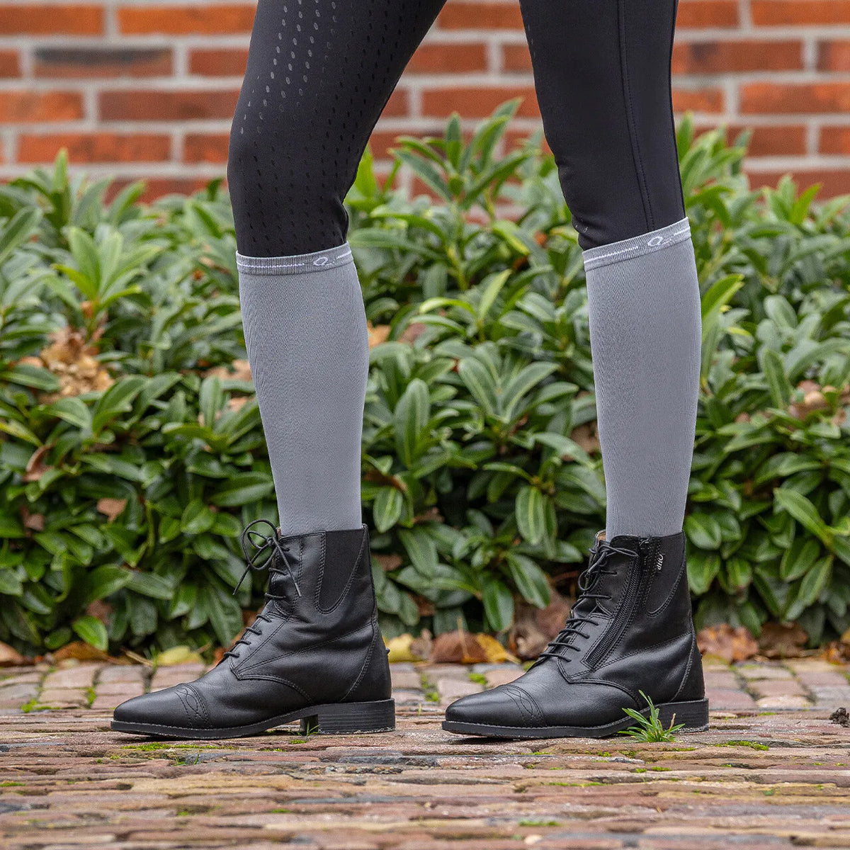 Calcetines de concurso QHP (pack de 3)