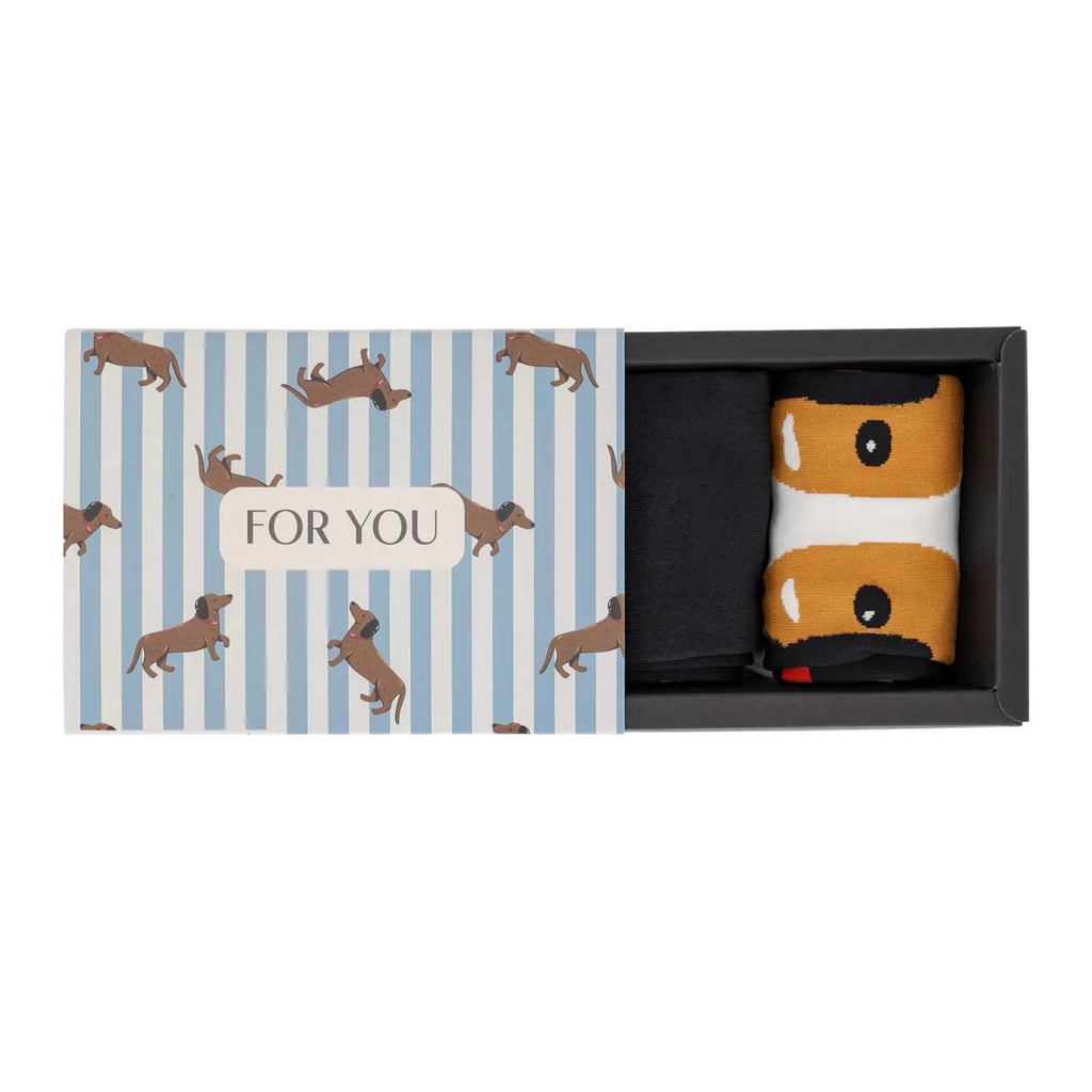 Knee stockings gift box Stable buddy (2-pack) QHP