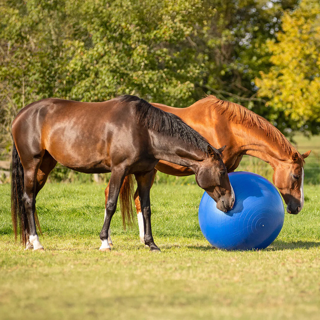Accesorio ecuestre Caballo football QHP