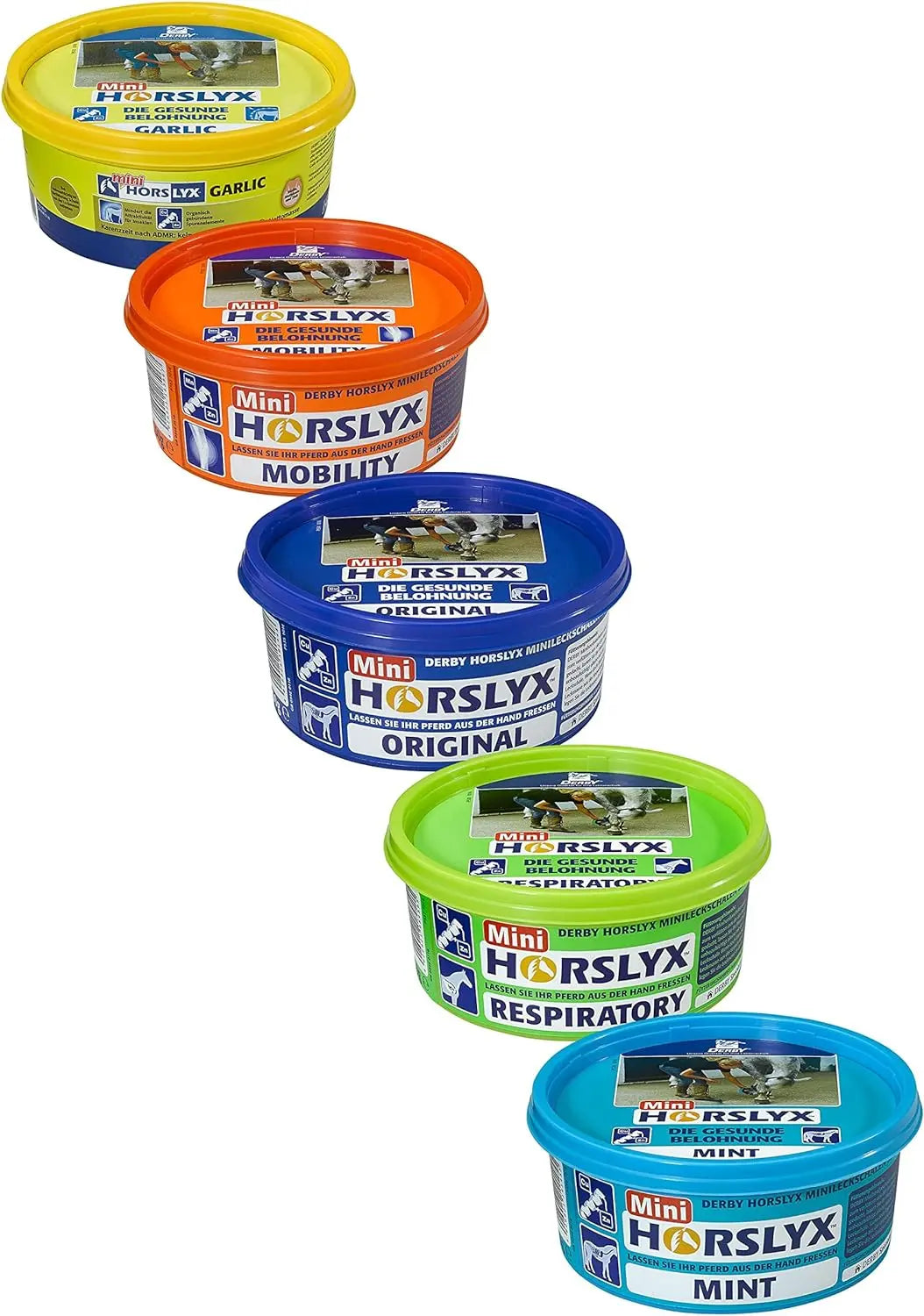 Accesorio ecuestre Horslyx 650g
