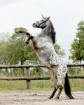 Unicorn horn QHP