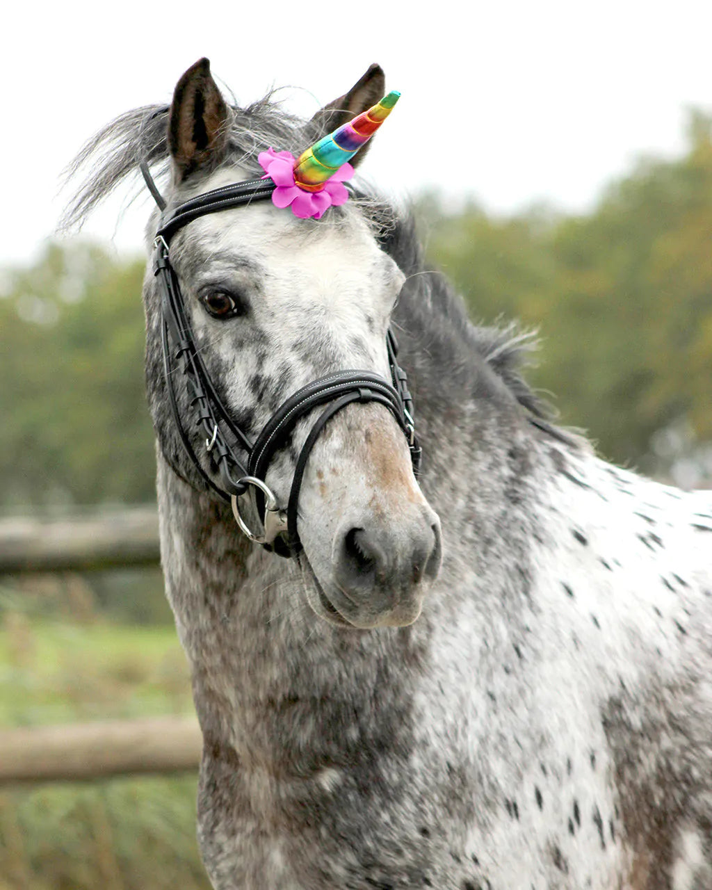 Unicorn horn QHP