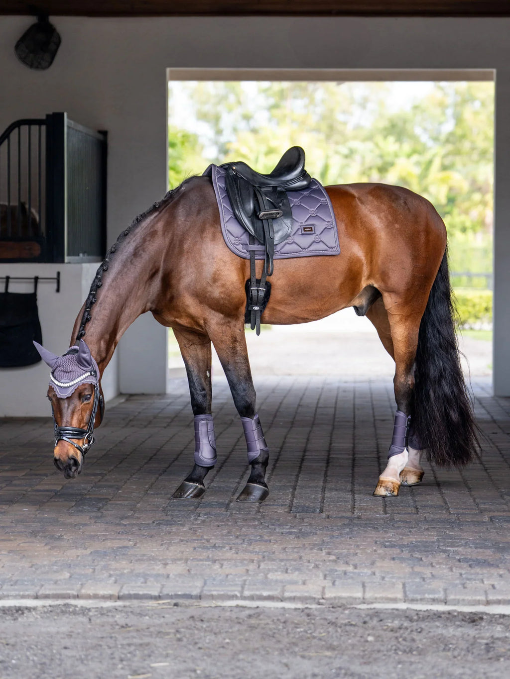Protectores Doma Mesh Dark Violet Equestrian Stockholm