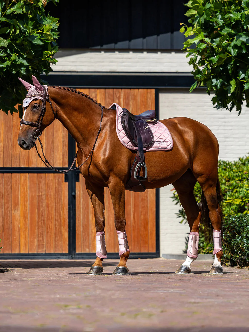 Protector Doma Midsummer Blush Equestrian  Stockholm
