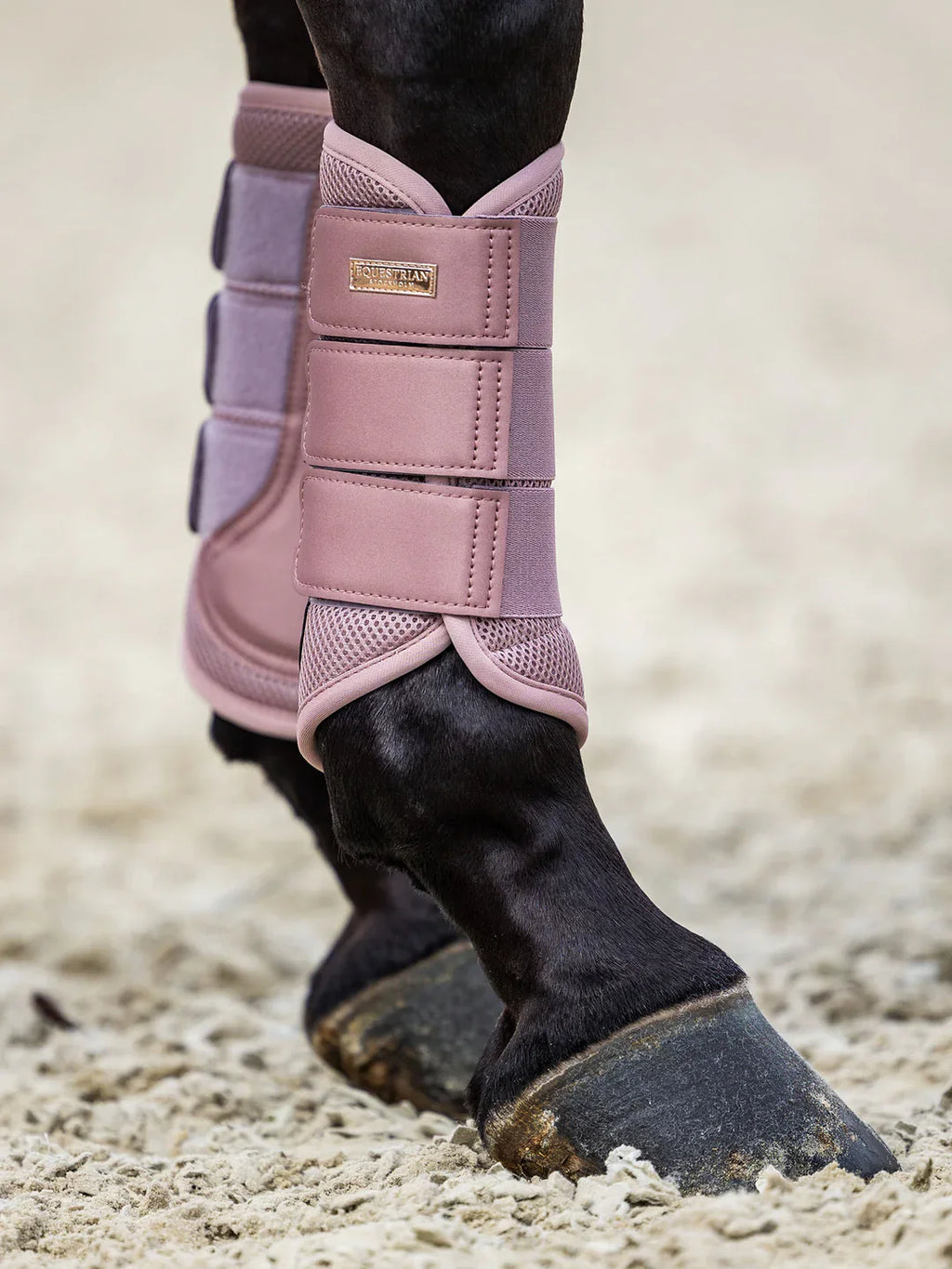 Protector Doma Midsummer Blush Equestrian  Stockholm