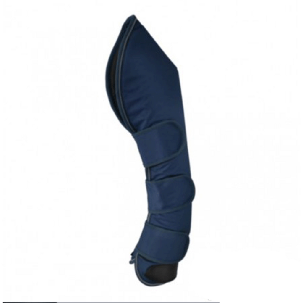 Protectores Lexhis Transporte (Juego 4)