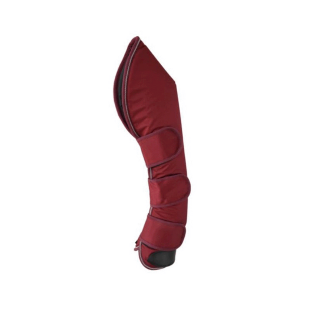 Protectores Lexhis Transporte (Juego 4)