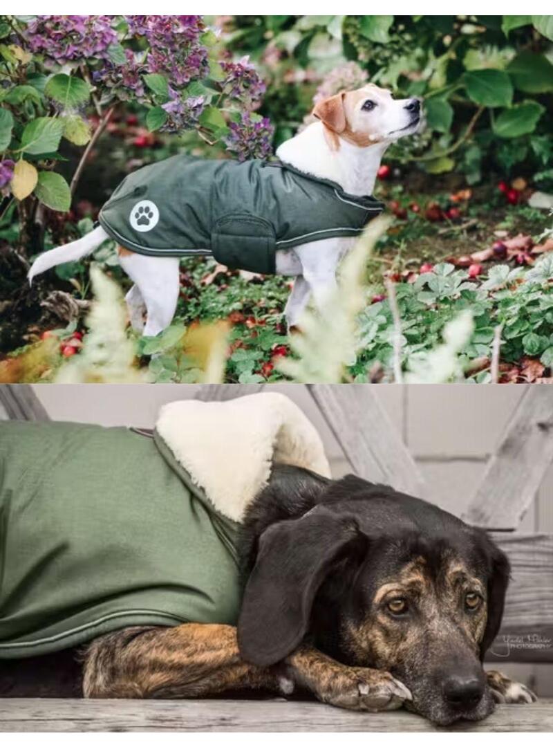 Abrigo para Perro Impermeable Kentucky 300gr Olive Green - Kentucky (2)