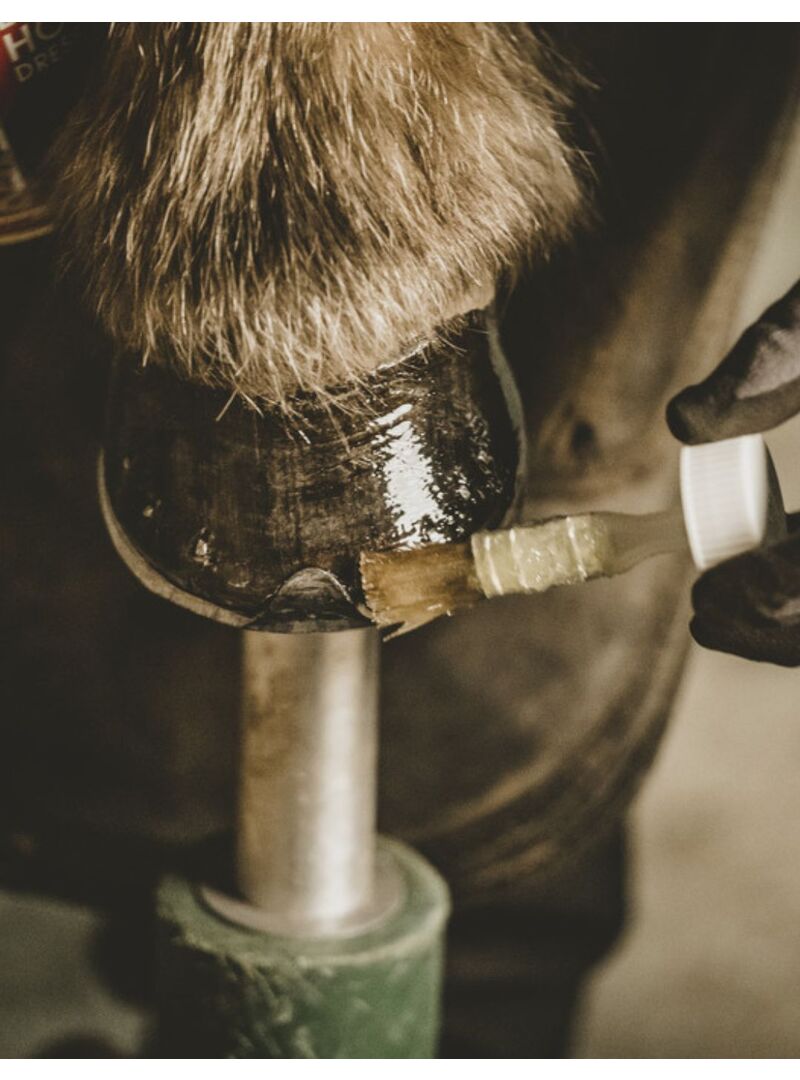 Aceite para Cascos Kevin Bacon’s Hoof Dressing – Líquido - Kevin Bacon's (3)