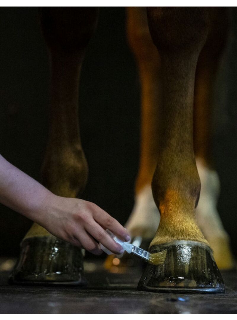 Aceite para Cascos Kevin Bacon’s Hoof Dressing – Líquido - Kevin Bacon's (4)