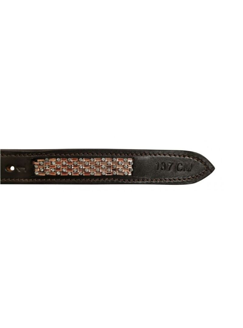 Aciones Norton Club” Damier” Havana - Norton (2)